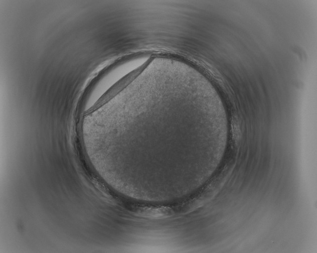 X0000112780488200910011300