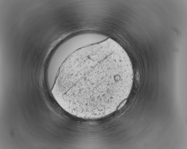 X0000112780492200910011300