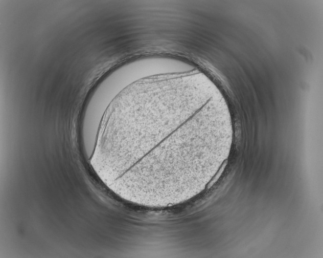 X0000112780493200910011300