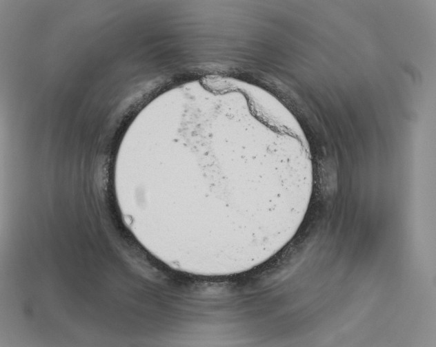 X0000112780495200910011300