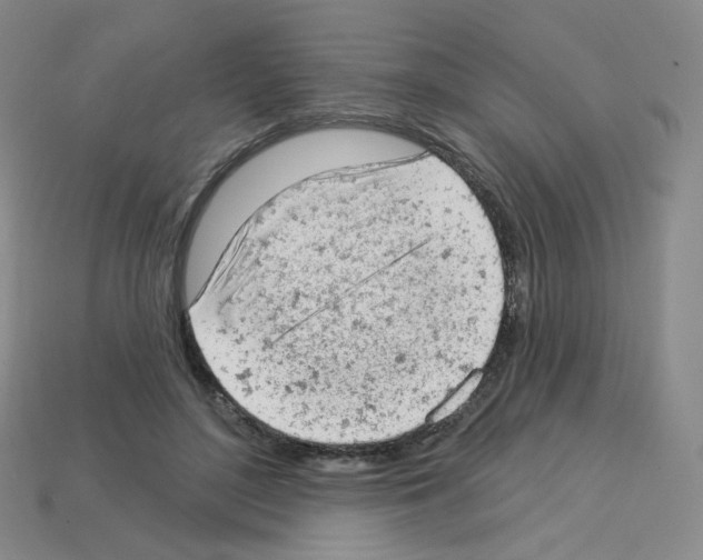 X0000112780500200910011300