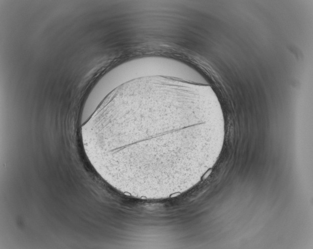 X0000112780501200910011300