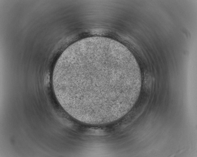 X0000112780502200910011300