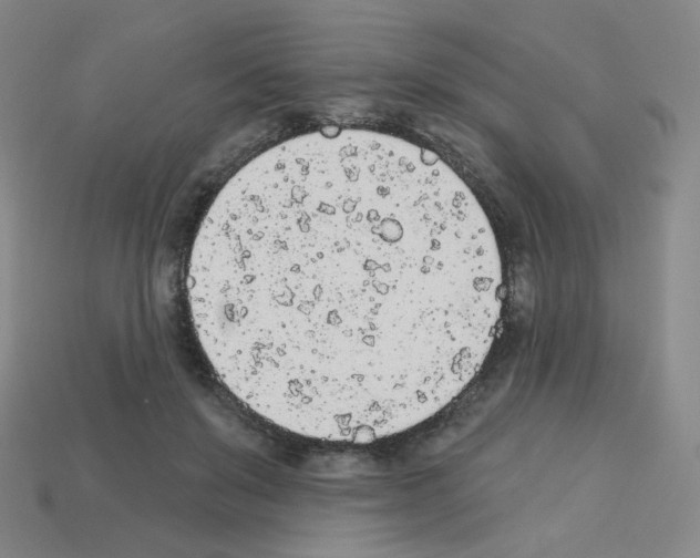 X0000112780503200910011300