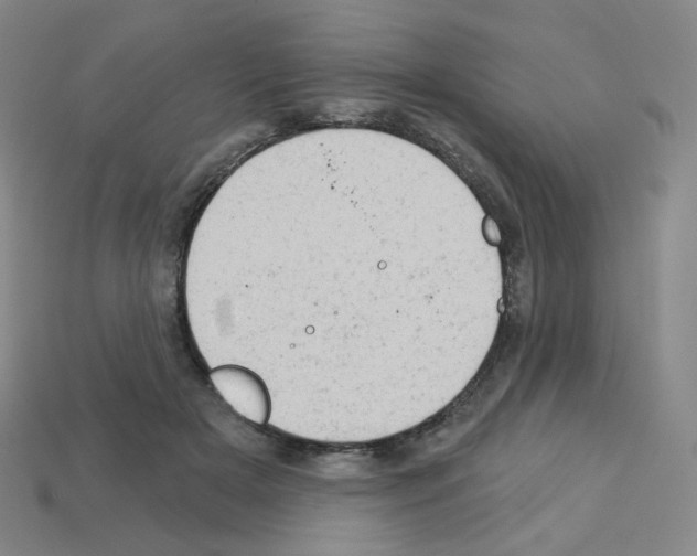 X0000112780505200910011300