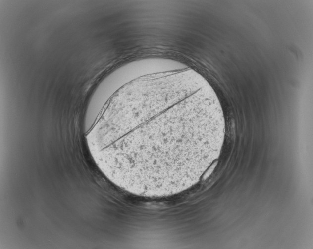 X0000112780508200910011300
