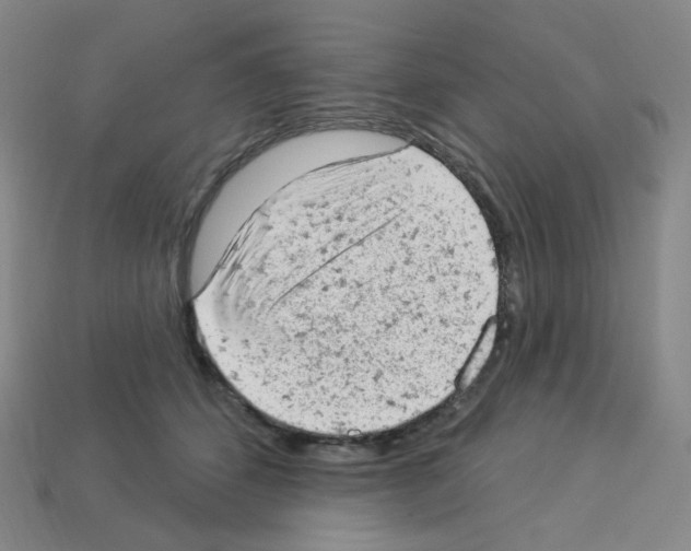 X0000112780512200910011300