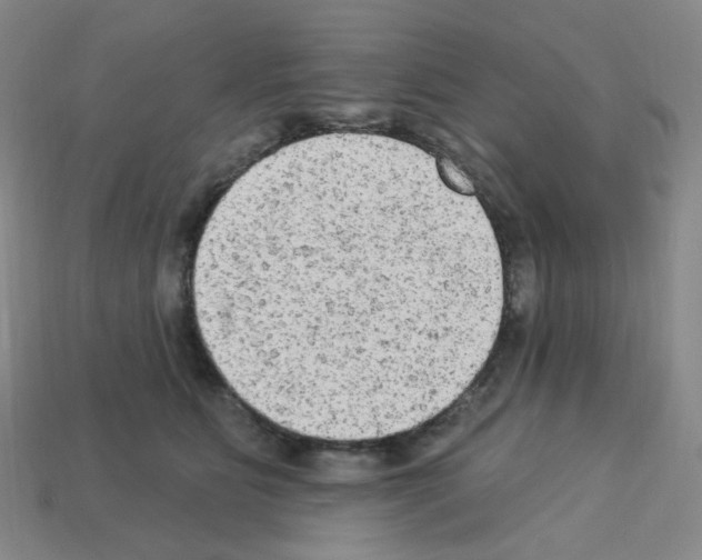 X0000112780515200910011300