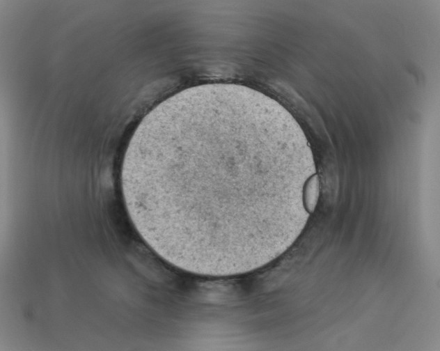 X0000112780516200910011300