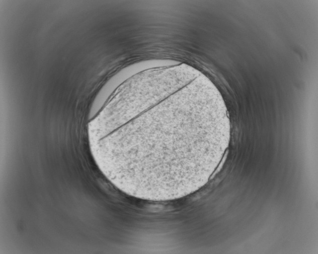 X0000112780521200910011300