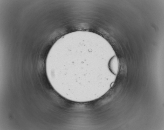 X0000112780523200910011300