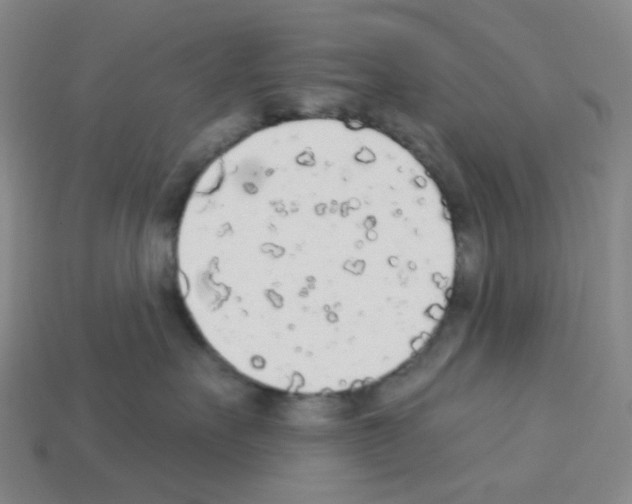 X0000112780527200910011300