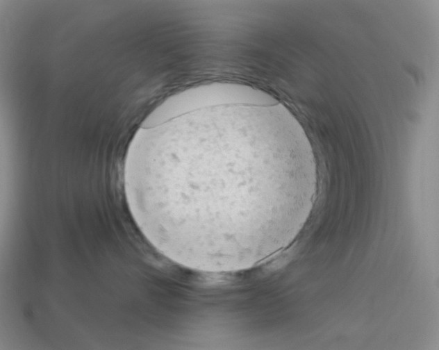 X0000112780528200910011300