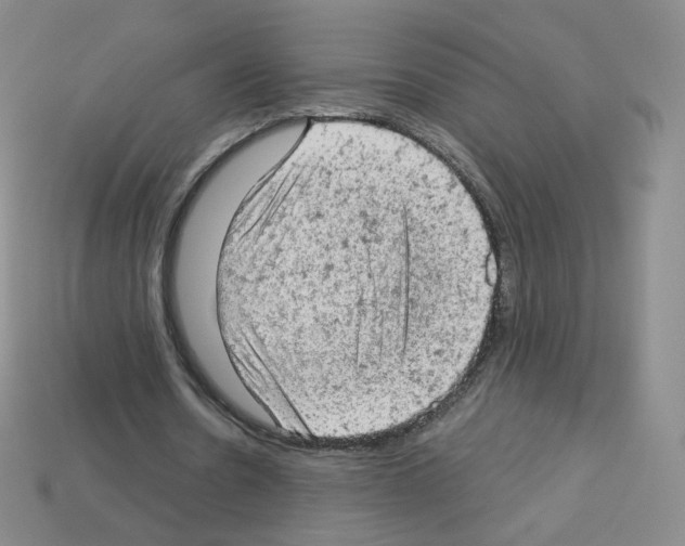 X0000112780530200910011259