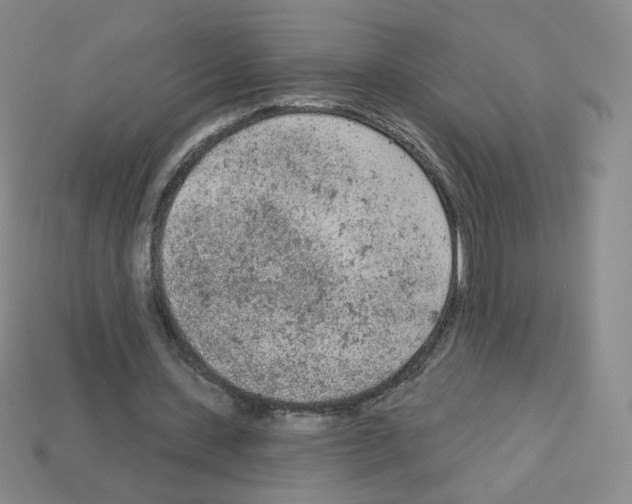 X0000112780531200910011259