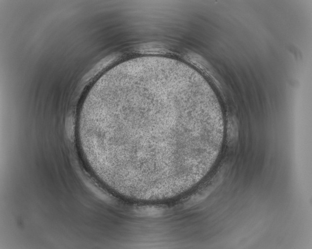 X0000112780533200910011259