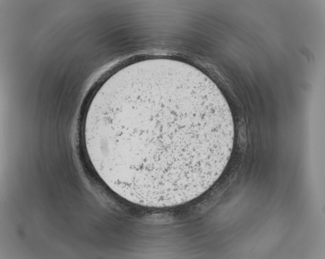 X0000112780536200910011259