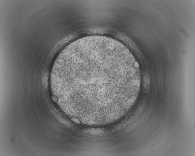 X0000112780537200910011259