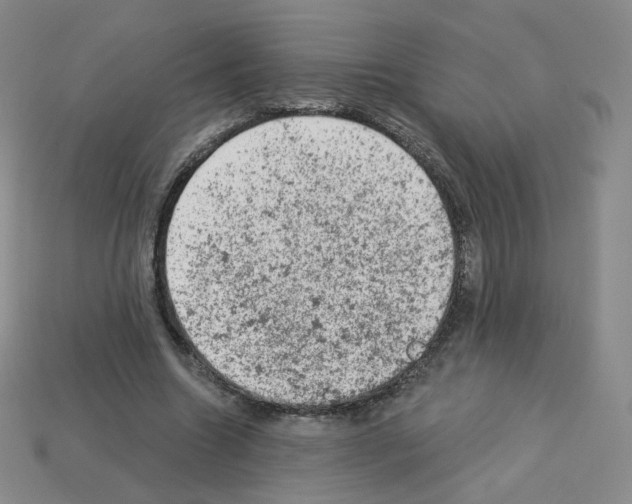 X0000112780538200910011259