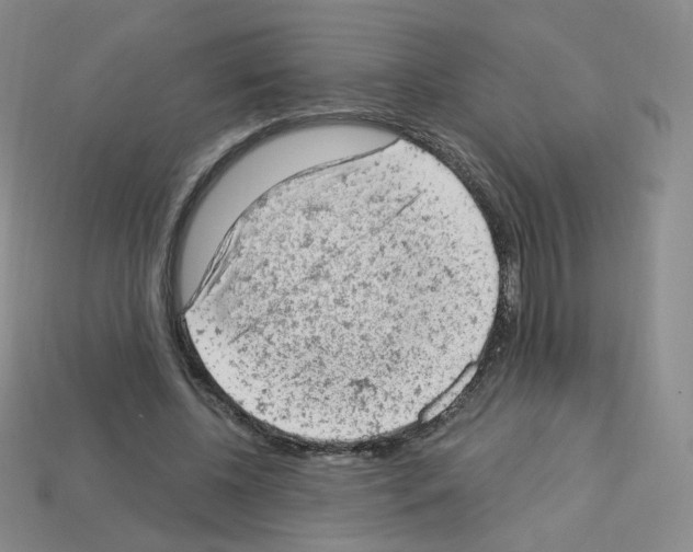 X0000112780540200910011259