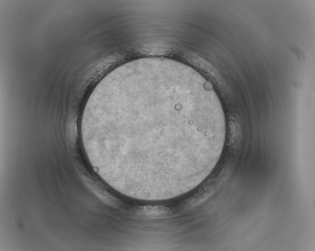 X0000112780541200910011259