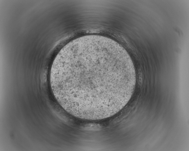 X0000112780543200910011259