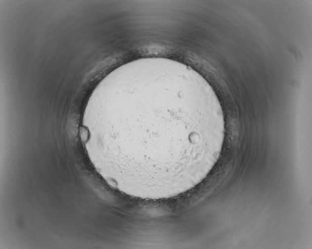 X0000112780545200910011259