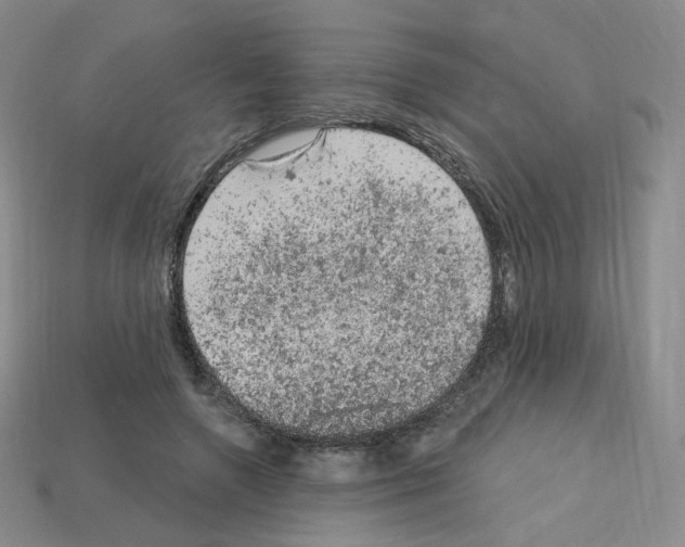 X0000112780546200910011259