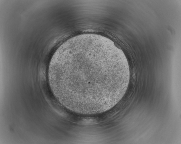 X0000112780547200910011259