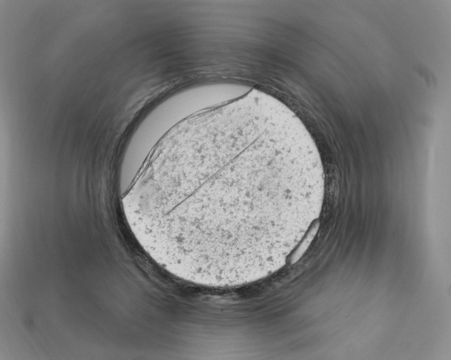 X0000112780548200910011259