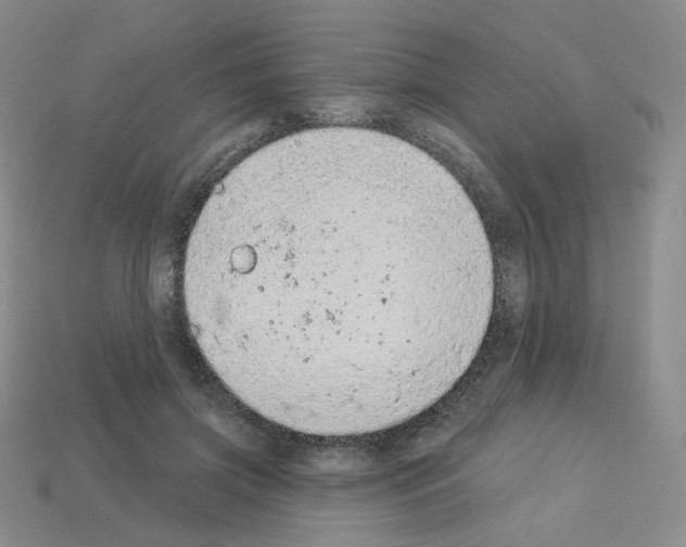 X0000112780549200910011259