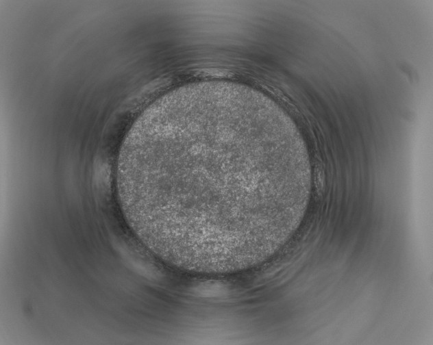 X0000112780551200910011259