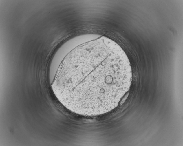 X0000112780552200910011259