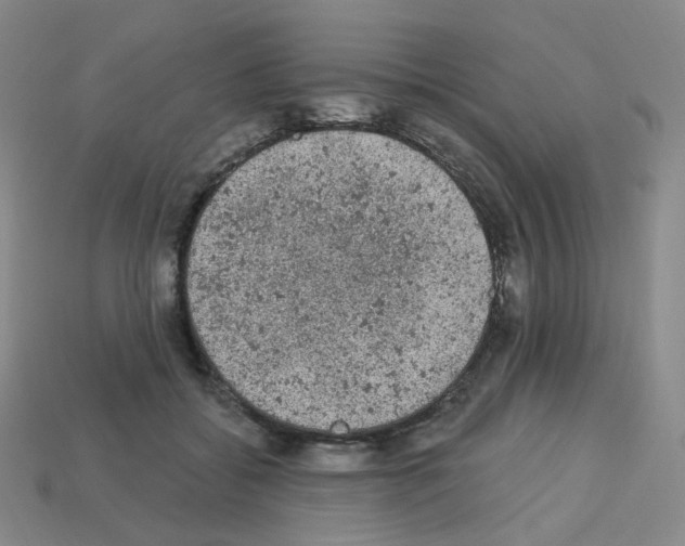 X0000112780556200910011259