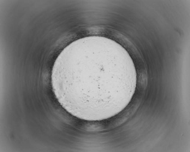 X0000112780557200910011300