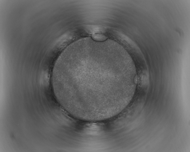 X0000112780558200910011300