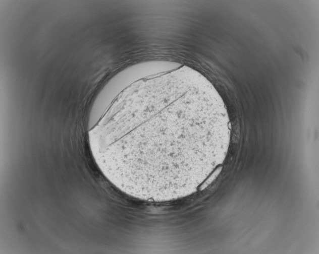 X0000112780560200910011300