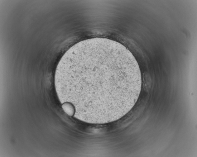 X0000112780563200910011300