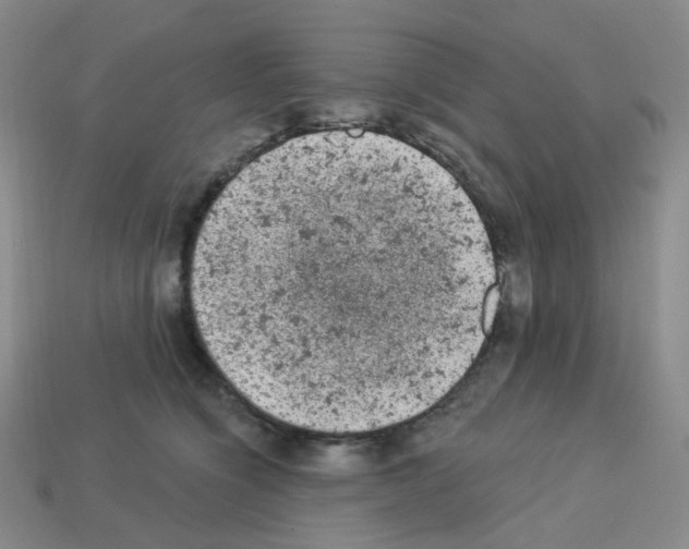 X0000112780564200910011300