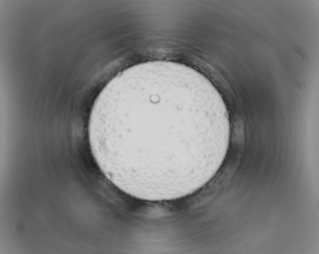 X0000112780569200910011300