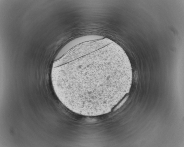 X0000112780570200910011300