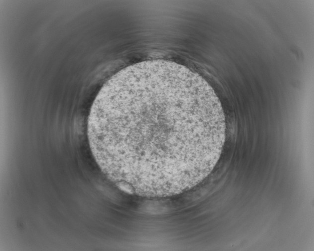 X0000112780571200910011300