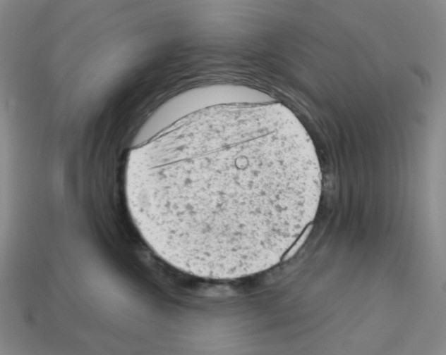 X0000112780572200910011300