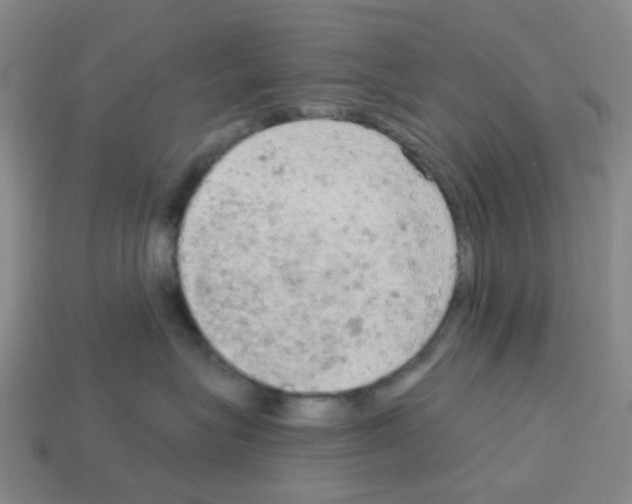 X0000112780575200910011300