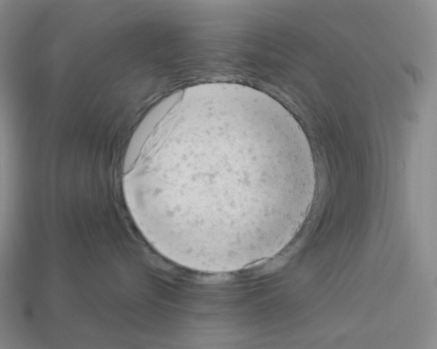 X0000112780576200910011300