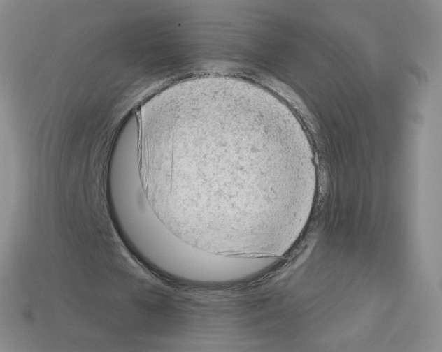 X0000112780577200910011259