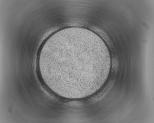 X0000112780578200910011259