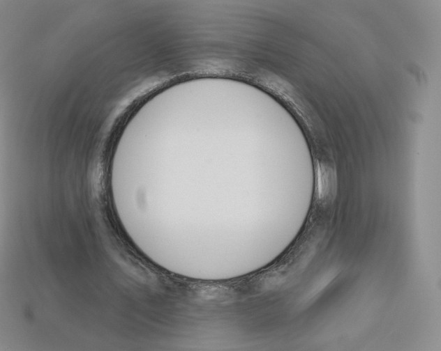 X0000112780579200910011259