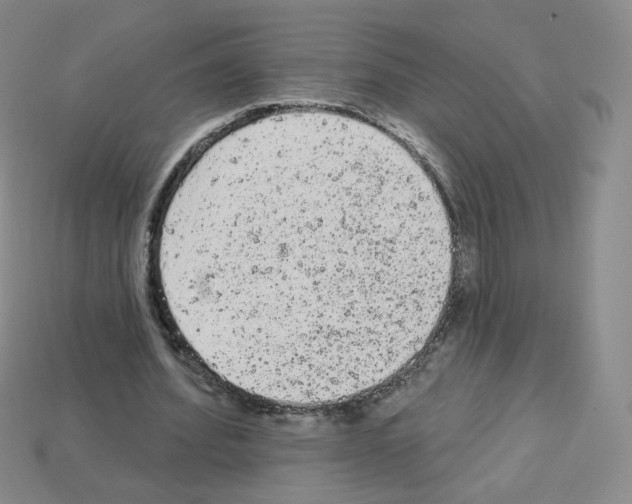 X0000112780580200910011259