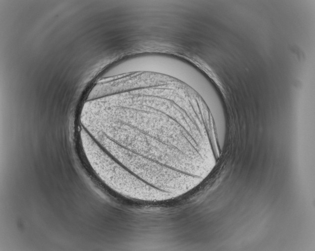 X0000112780581200910011259